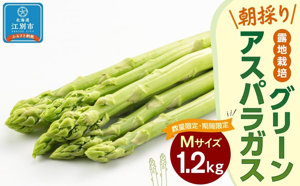 
            【先行予約/2026年4月下旬より発送開始】BO003＜数量限定・期間限定＞グリーンアスパラガス(Mサイズ) 1.2kg 露地栽培 朝採り
          