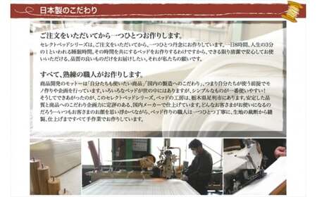 ザ・ベッド シングル ブルー 97×195 脚12cm ナチュラル 脚付きマットレス F7Z-764