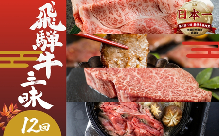 【定期便】飛騨牛三昧 定期便 12回 12ヶ月 1年 食べ比べ A5等級 5等級 a5 牛肉 肉 和牛 国産牛 黒毛和牛 焼肉 やきにく ヤキニク 赤身 霜降り お楽しみ トキノ屋食品 本巣市 定期便 肉 お楽しみ 定期便 牛肉 [mt1729] 50万円 500000円