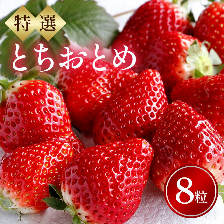 【ふるさと納税】特選8玉　とちおとめ いちご イチゴ フルーツ 果物 茨城県 石岡市 A32-014