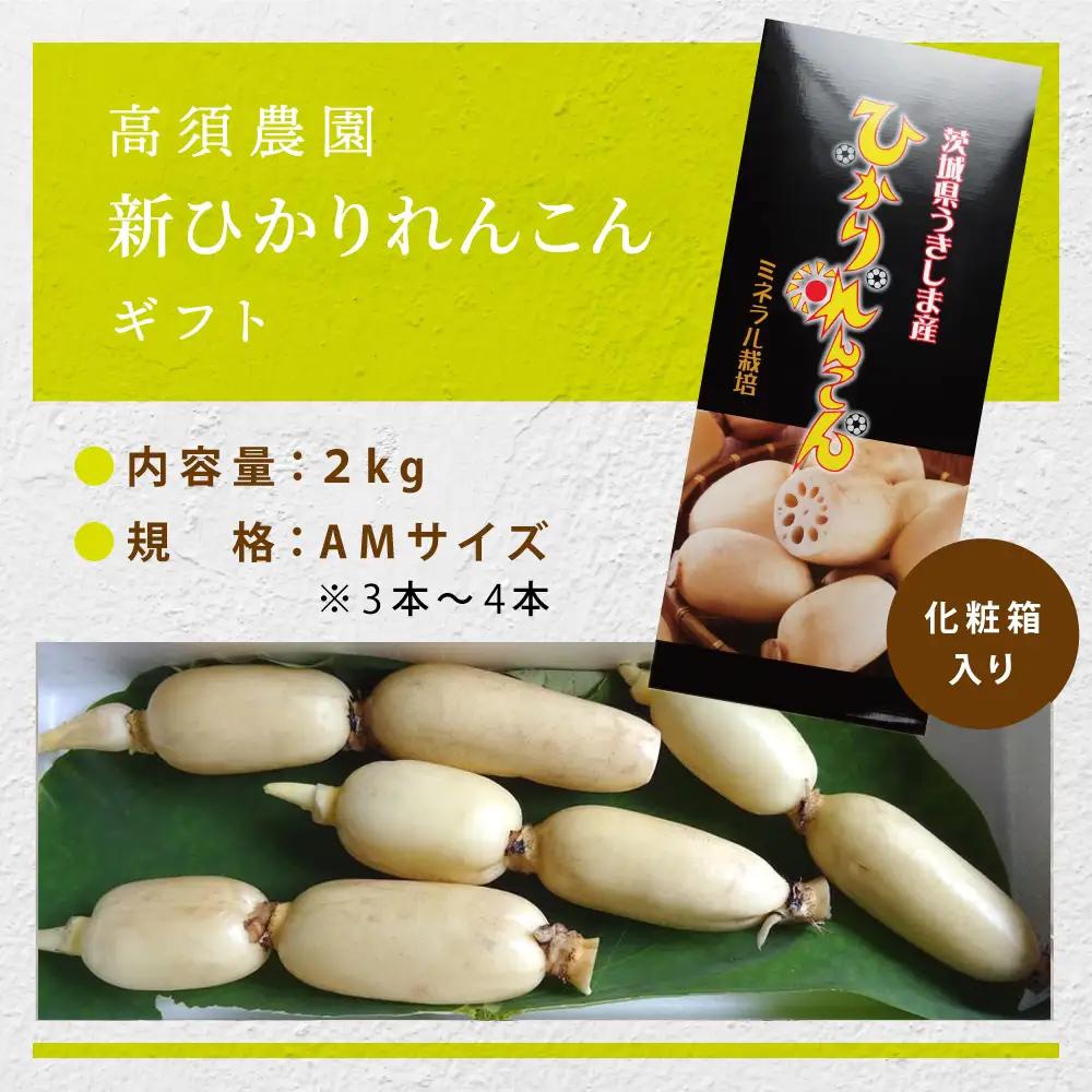 夏だけの味！「新ひかりれんこん」ギフト2kg (AMサイズ) 化粧箱入 [1742]