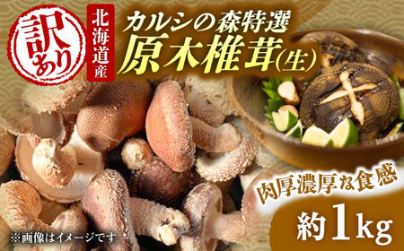【訳あり】原木 生しいたけ 約1kg しいたけ [BNAU005]