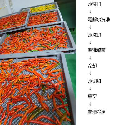 ふるさと納税 登米市 宮城県登米市産 唐辛子 品種インドジンウソツカナイ 3kg(500g×6P)　殺菌後急速冷凍 業務用 |  | 01