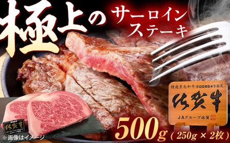 佐賀牛 サーロインステーキ 500g（250g×2枚） /MKミート武雄[UEM020]