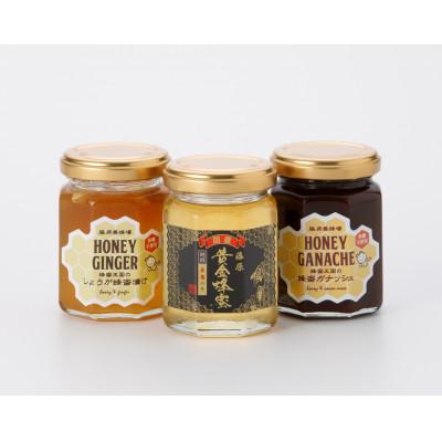 ふるさと納税 岩手県 藤原黄金蜂蜜「栃」・ハニージンジャー・蜂蜜ガナッシュ　160g×3本セット
