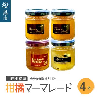 ふるさと納税 呉市 島の恵み 瀬戸内 柑橘 マーマレード 4本セット