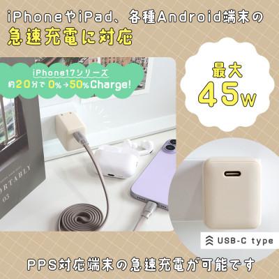 ふるさと納税 海老名市 USB充電器 PD45W USB-Cx1 スモーキーブラック(MOT-ACPD45-BK) |  | 01