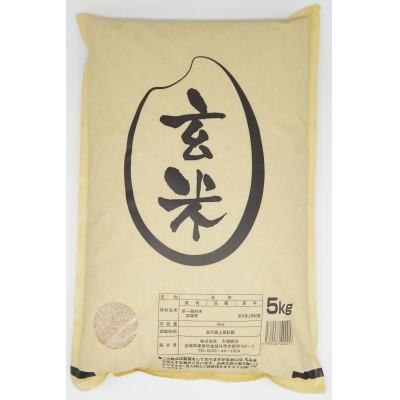 ふるさと納税 栗原市 【令和7年産】宮城栗原産 だて正夢 玄米5kg (5kg×1袋)