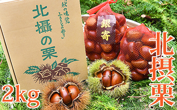 
            川西特産北摂栗 銀寄 No.222 ／ くり 秋の味覚 食べ物 北摂栗 栗 人気 和 ギフト プレゼント お取り寄せ グルメ
          
