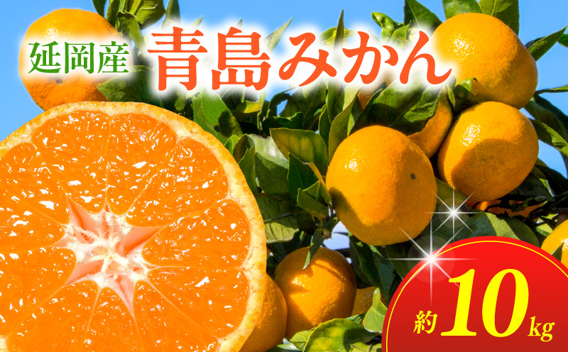 青島みかん（10kg）12月下旬から発送 N050-YA979