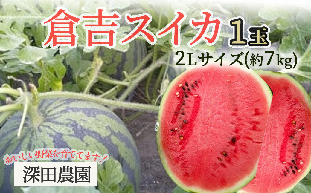 
                  【2026年先行予約】 倉吉スイカ 1玉 2L （約7kg） 深田農園 果物 フルーツ スイカ スイカ先行予約 期間限定 数量限定 鳥取県 倉吉市
                