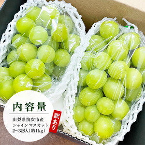 ＜25年発送先行予約＞【訳あり】 シャインマスカット 2～3房 約1kg 154-027 | 不揃い ご自宅用 ご家庭用 フルーツ 果物 高評価 人気 ランキング おすすめ 甘い 美味しい デザート 
