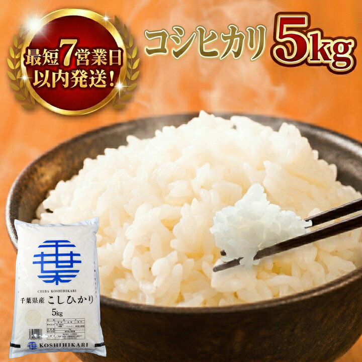 【ふるさと納税】 コシヒカリ 5kg 【最短7営業日以内発送】 一等米 白米 令和7年産 米 お米 5kg 米5kg 【お米マイスター厳選】 千葉県産 こしひかり コシヒカリ 令和7年産 R7年産 2025年産 精米 千葉県 香取市 OYD007_X1