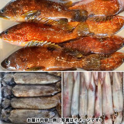 ふるさと納税 出雲市 季節のおさかな、おまかせセット!3K相当【2-113】 |  | 03