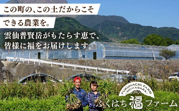 【2025年5月下旬〜順次発送】【南島原 の特別栽培】 小玉ハウス 桃（Mサイズ：10パック） / 桃 もも モモ ピーチ 3kg デザート 旬 フルーツ 柔らかい 果物 / 南島原市 / ふくはちフ