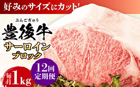 【全12回定期便】【厳選部位】おおいた豊後牛 サーロイン ブロック 1kg / 和牛 和牛 和牛 和牛 和牛 和牛 / 日田市 / 株式会社MEAT PLUS[AREI106]