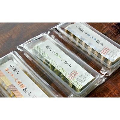 ふるさと納税 高知県 四万十餃子　3点セット【B06048】