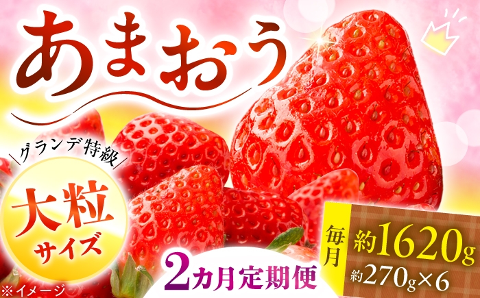 
                  【全2回定期便】あまおう いちご 1620g（約270g×6パック）【2027年3月初旬より順次発送】 《築上町》【株式会社HSP-テクノ】[ABFG004] いちご 福岡県産 あまおう あまおういちご 定期便 あまおう苺 くだもの アマオウ 冷蔵 あまおういちご 博多あまおう ブランドいちご 定期 amaou イチゴ 生いちご ていきびん 苺 strawberry 36000 36000円
                