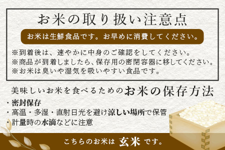 【令和7年産 玄米 】10月中旬～発送 多良木町産「くまさんの輝き」 玄米 30kg 米どころ 多良木町 たらぎ 新米 玄米 上原農園 農家直送 熊本県 30キロ 119-0501