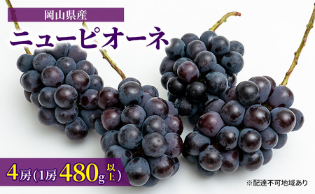 ぶどう 2025年 先行予約 ニュー ピオーネ 4房（1房480g以上）約2kg ブドウ 葡萄  岡山県産 国産 フルーツ 果物 ギフト