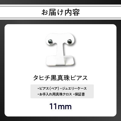 ふるさと納税 大分市 タヒチ黒真珠ピアス 真珠11mm 14Kホワイトゴールド_R14116 |  | 03