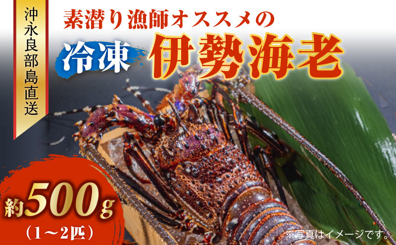 
                  沖永良部島直送！素潜り漁師オススメの冷凍伊勢海老 約500g（1～2匹）！　W030-018
                