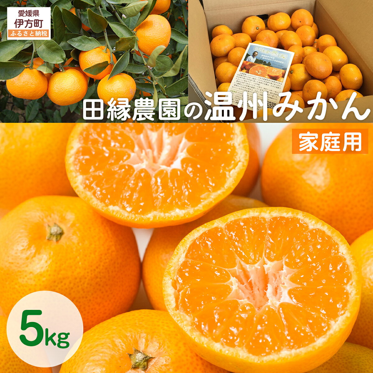 【ふるさと納税】【先行予約】【家庭用】温州みかん 5kg ※離島への配送不可 （2026年11月10日より順次発送）【ふるさと納税 人気 おすすめ ランキング みかん ミカン 蜜柑 温州みかん 温州ミカン フルーツ 果物 愛媛県産 田縁農園 愛媛県 伊方町 送料無料】 IKTA039