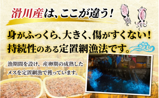 【先行予約】ほたるいか ボイル＆刺身セット【27年3月中旬以降順次発送】カネツル砂子商店【冷蔵 ホタルイカ 旬 朝どれ おつまみ 期間限定 海鮮 ボイル 刺身 ほたるいか 蛍烏賊 ボイルほたるいか 富