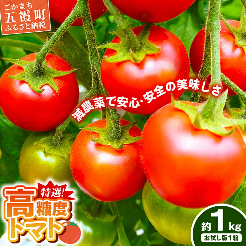 【ふるさと納税】山中トマト農園がお届けする！五霞町の特選 高糖度トマト お試し 1箱（約1kg）／ 完熟 甘い 減農薬 こだわり 贈り物 エクセレントトマト 中玉トマト 野菜 とまと 茨城県 五霞町