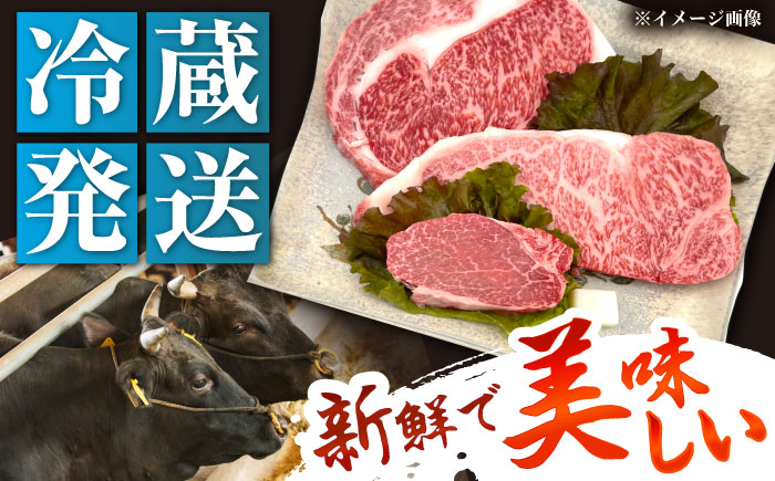 【チルド（冷蔵）発送！】「飛騨牛」 A5等級 ステーキ用3種盛り！ ヒレ・サーロイン・リブロース / 牛肉 焼肉 鉄板焼き 網焼き BBQ/ 恵那市 / 東美濃農業協同組合 [AUFX024]