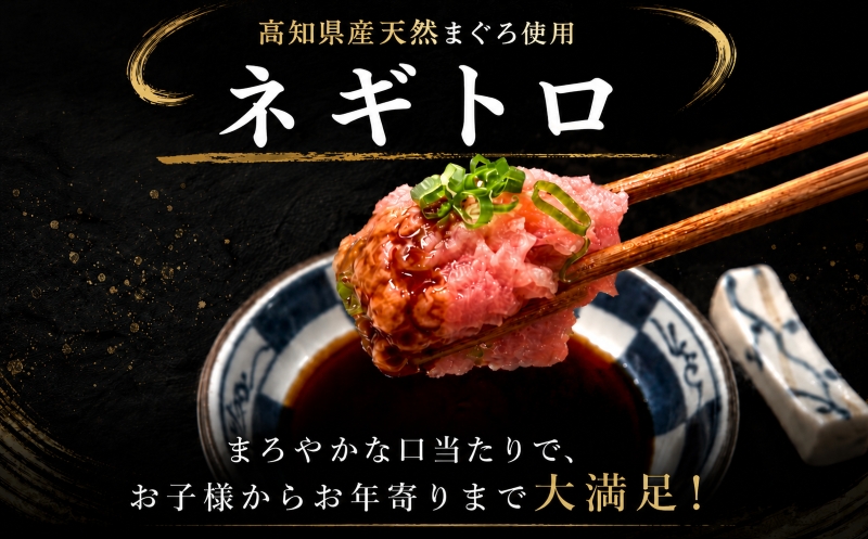 【冷蔵】 海鮮 3回定期便 高知 カツオ マグロ ネギトロ 天然 藁焼き かつおたたき 鰹 鮪 まぐろ ブロック まぐろたたき 刺身 厳選 海鮮丼 マグロ丼 鮪 冷蔵 新鮮 国産 ネギトロ丼 高知県産