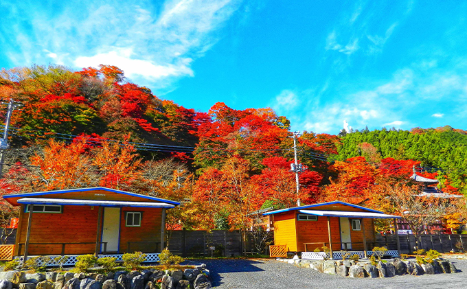 ケニーズ・ファミリー・ビレッジ/オートキャンプ場 基本料金利用券A[52210607]