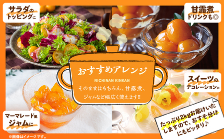 完熟きんかん 計2kg 期間限定 数量限定_BAV9-25