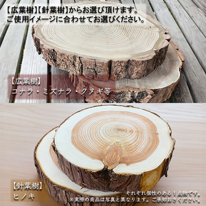 薪一 木のまんま 高さ5センチ×直径20-30センチ 重量約2kg 丸太の輪切り 伊那市 長野県 信州【011-99】