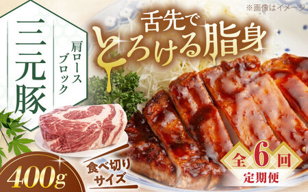 【全6回定期便】平田牧場 肩ロース ブロック 400g  豚肉 ローストポーク 煮豚 [AJAP162]