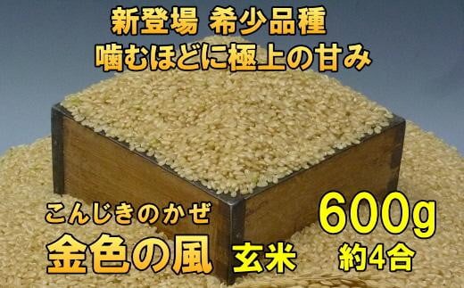 【玄米 600g】新登場の高級米　令和6年産  岩手県奥州市産 金色の風【７日以内発送】