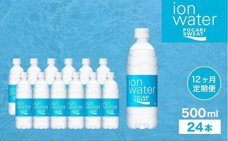 ポカリスエット 500ml × 24本 定期便12ヶ月 大塚製薬 ポカリ イオンウォーター スポーツドリンク スポーツ イオン飲料 トレーニング アウトドア 飲み物 熱中症対策 健康 スポドリ 人気