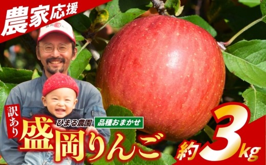 【先行予約】旬の盛岡産りんご 訳あり 品種おまかせ 詰め合わせ 約３kg  10月上旬発送開始 盛岡産りんご 林檎 リンゴ 果物 フルーツ 旬の果物 季節の果物 産地直送 くだもの お取り寄せ デザート 特産品 名産品 ご当地 朝食 おやつ 新鮮 甘い 果汁 シャキシャキ 農家直送 秋 おすすめ 絶品 岩手県 盛岡市 東北 岩手 盛岡 ひまる農園 himaru001