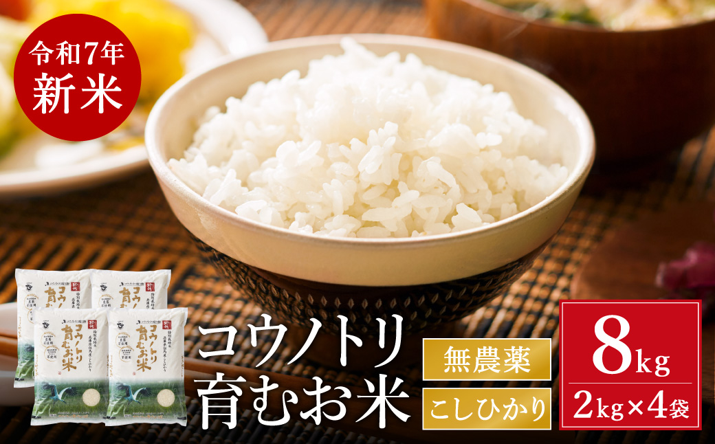 【令和7年産先行予約】新米 無農薬 米 8kg コウノトリ育むお米 新米 但馬産 こしひかり 兵庫県産(2kg×4袋)（94-001）無農薬 お米 8キロ 精米 白米 コウノトリ米 コシヒカリ 農薬不使用 特別栽培米 新米 予約 コメ こめ ご飯 ライス 無農薬米