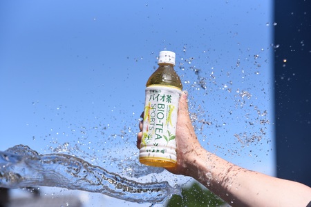 バイオ茶スポーツ ペットボトル 48本本数 有機緑茶 お茶 茶葉 tea 緑茶 製茶 お手軽 スポドリ スポーツ飲料 スポーツドリンク 飲料類 水分補給 国産 宮崎県産 九州産 スポーツ アウトドア