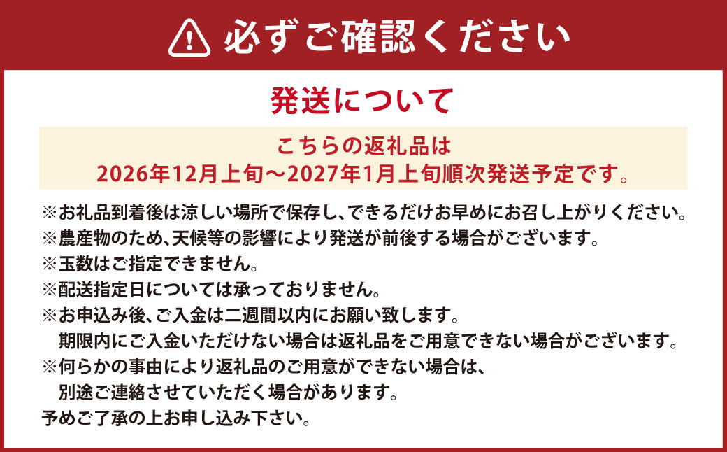 【先行受付】極上の柑橘「天草」3～3.5kg 18～26玉入り 柑橘 みかん 蜜柑 ミカン フルーツ 果物 果実 カットフルーツ 天草 熊本県 上天草市 【2026年12月上旬～2027年1月上旬順次