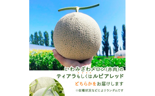 ＜先行予約＞産地直送！北海道『いわみざわメロン2玉（赤肉）』2025年夏にお届け！【18106】[a015-028]