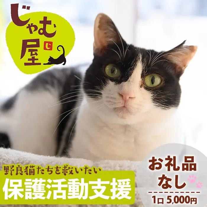 ≪お礼品なし≫保護猫 活動支援(1口：5,000円) 猫 ねこ ネコ 地域猫 野良猫 のらねこ さくら猫 保護 支援 保護猫活動 里親 動物保護 保護活動支援 ペット保護 支援活動 返礼品なし ボランティア活動 医療費 エサ代 TNR活動 去勢 【じゃむ屋】assn15-009