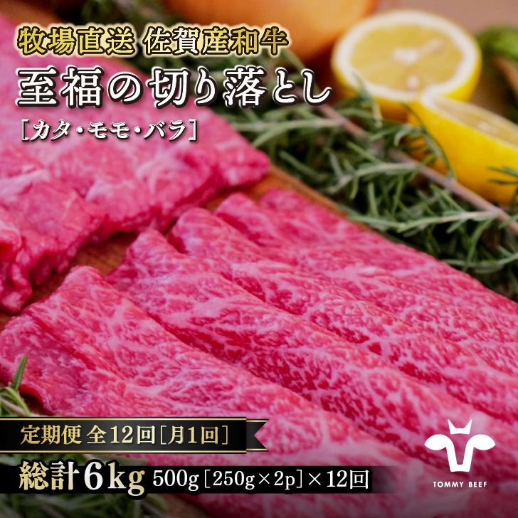 【定期便12回】【牧場直送】佐賀産黒毛和牛 至福のきりおとし500g：C144-008