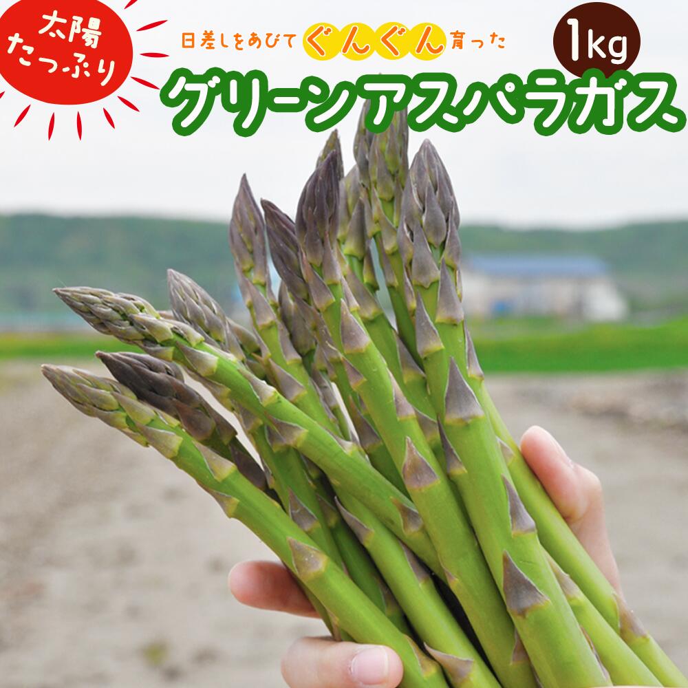 【ふるさと納税】【令和8年産先行受付】上田ファームのグリーンアスパラガス《数量限定》