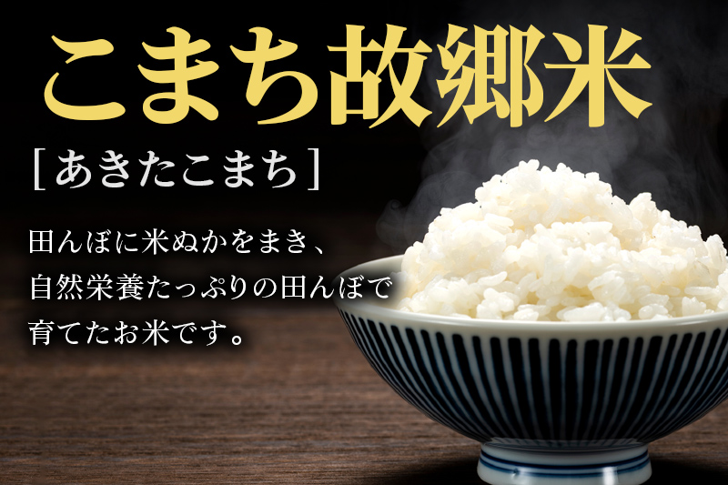 米 こまち故郷米 ＜ あきたこまち ＞ 白米 10kg (5kg×2袋) 令和7年産