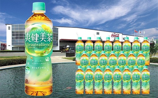 
            【10か月連続お届け】爽健美茶　600ml PET×24本　【04301-0030】
          