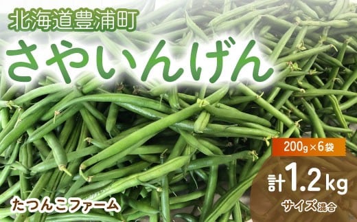 【2026.7月以降順次出荷】さやいんげん (200g × 6袋) 1.2kg サイズ混合 北海道 豊浦町 【 ふるさと納税 人気 おすすめ ランキング 野菜 根菜 いんげん さやいんげん インゲン国産 バラ 詰合せ 混合 おいしい 美味しい 甘い 北海道 豊浦町 送料無料 TYUF001