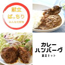 【ふるさと納税】素材と手作りにこだわった 熊野牛すじ肉カレーとハンバーグセット （カレー：200g×4袋、ハンバーグ：170g×3袋) / カレー カレーライス 牛すじ おかず 惣菜 お惣菜 ハンバーグ