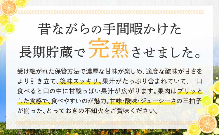 先行予約 不知火 約3kg（7～12玉前後） 【2026年3月上旬~2026年4月上旬頃発送予定】 しらぬい 蜜柑 ミカン 柑橘 国産 九州 宇城市産【株式会社la Nui.】